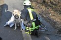 Hund und Frauchen im Eis eingebrochen Koeln Dellbrueck Hoehenfelder See P15